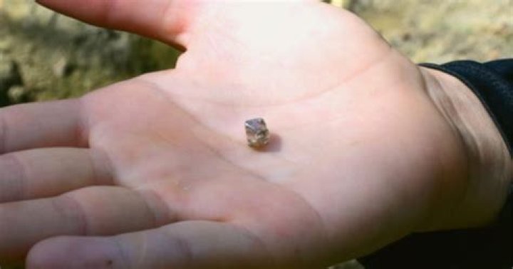 7-year-old girl discovers 2.95 carat diamond in US park