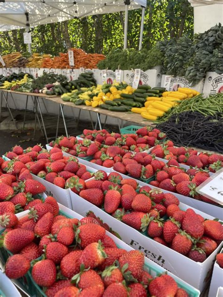 Ag program for keiki gets growing | News, Sports, Jobs