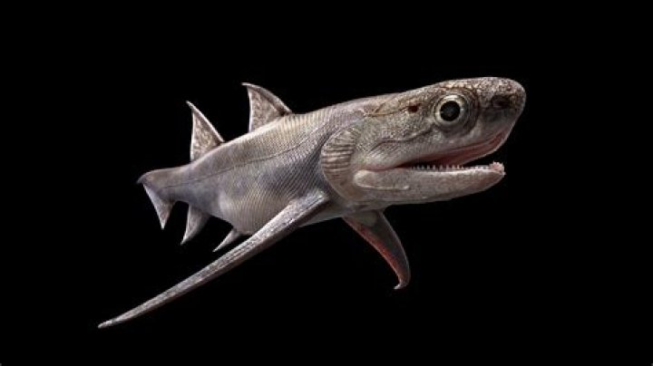 Storm Moves East, Still Showery and Slick to the West | Local News