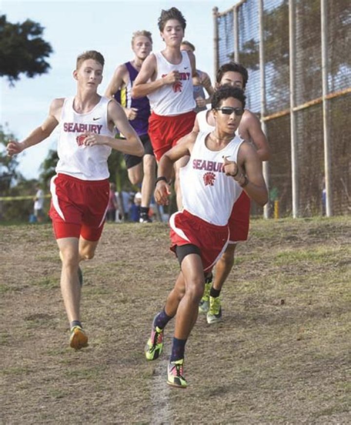 Brighton, Hagan lead dominant Spartans at MIL XC championships | News, Sports, Jobs