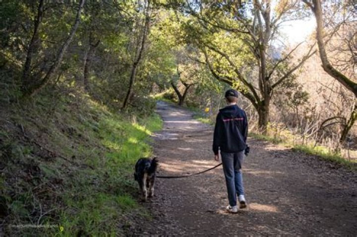 Cameron Chabot Obituary, Sidney NY, Cameron Chabot has died