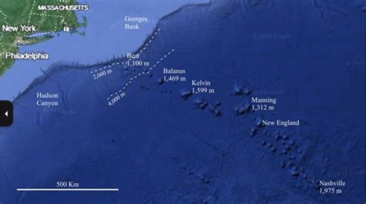 Deep-sea expedition to investigate seamounts in Papahanaumokuakea | News, Sports, Jobs