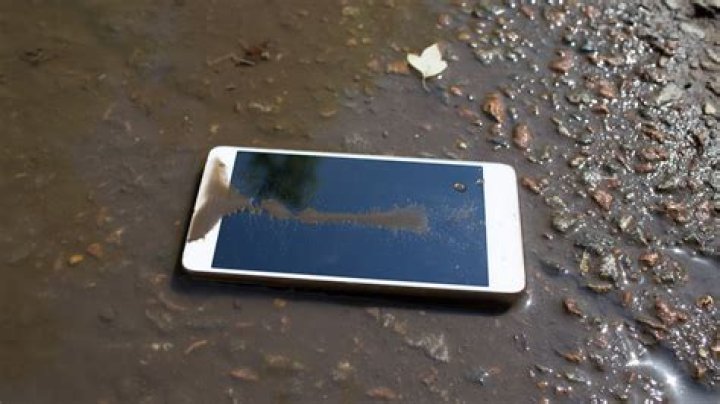 Indian official suspended after he drains reservoir to retrieve phone he dropped while taking selfie